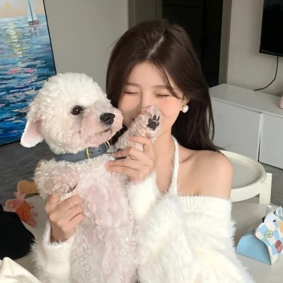 灵书妙探第四季